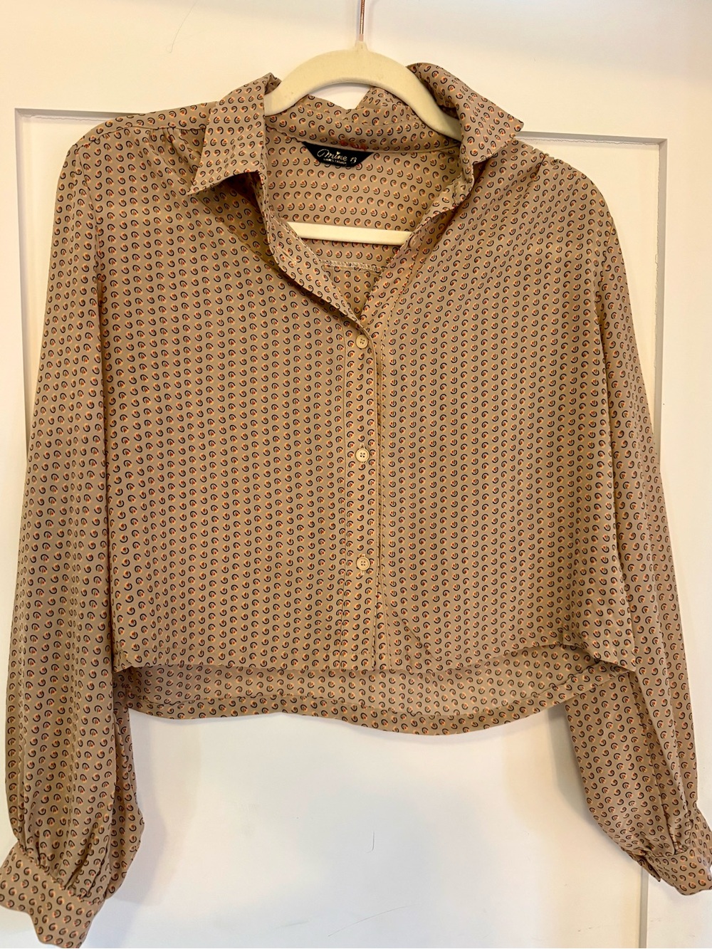 Vintage Mine 13 Cropped Blouse | Paisley Print Button-Up | Balloon Sleeve Top